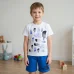 Костюм футболка+шорти "The north face"  синя без друку на шортах